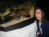  - April 2005
